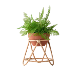 Kệ Chậu Mây (KCM01)