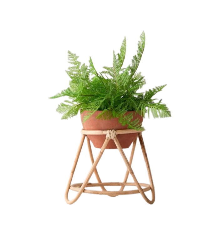 Kệ Chậu Mây (KCM01)