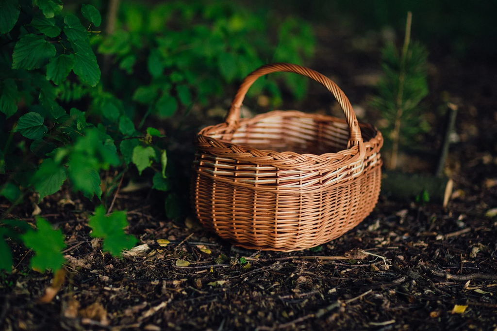 50a1b74b-55ae-4c9e-9adc-a488d2ac1789