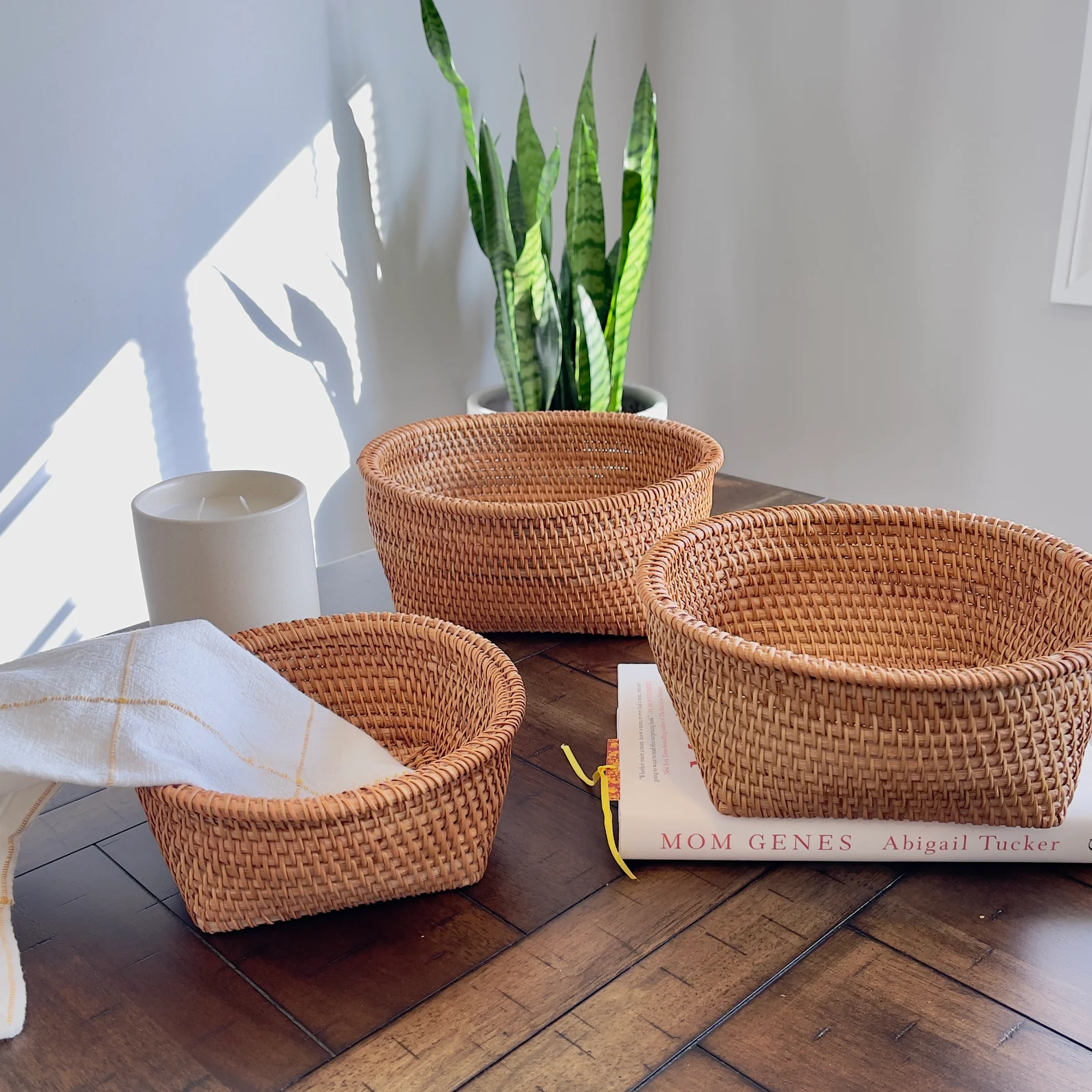 d0ad2139-658e-43e8-a3d9-faa55eacaf87-1 asdasd