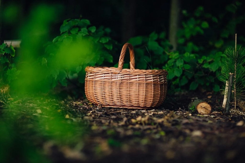 dd0a55a4-3140-469d-8286-e38ba3fc9a66